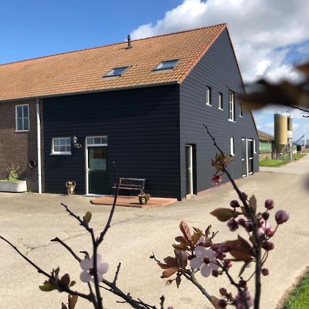 Appartement De Graanzolder Aan Zeeuwse Kust Hoofdplaat Exteriör bild
