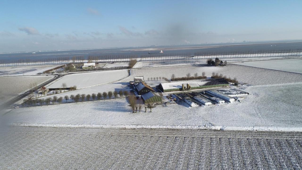 Appartement De Graanzolder Aan Zeeuwse Kust Hoofdplaat Exteriör bild