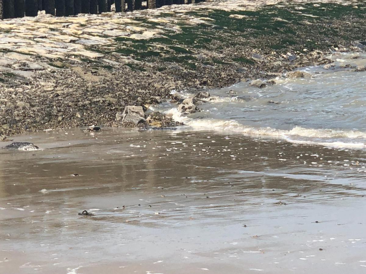 Appartement De Graanzolder Aan Zeeuwse Kust Hoofdplaat Exteriör bild