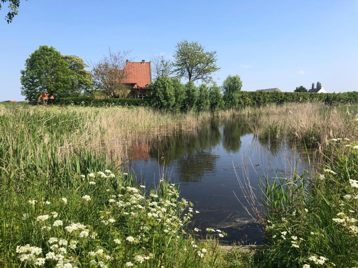 Appartement De Graanzolder Aan Zeeuwse Kust Hoofdplaat Exteriör bild